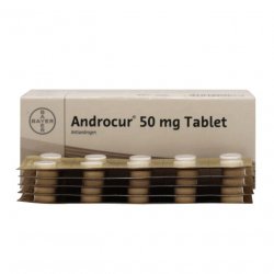 Андрокур (Ципротерон) таблетки 50мг №50 в Пензе и области фото