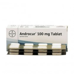 Андрокур таблетки 100 мг №30 в Пензе и области фото