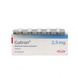Гутрон таблетки 2,5 мг. №20 в Пензе и области фото